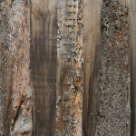 2013-07-18_261 2013-07-18_261