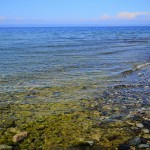 2013-07-20_451_e1 2013-07-20_451_e1