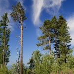 2013-07-21_180_e1 2013-07-21_180_e1