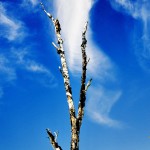 2013-07-21_193_e1 2013-07-21_193_e1