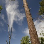 2013-07-21_194 2013-07-21_194