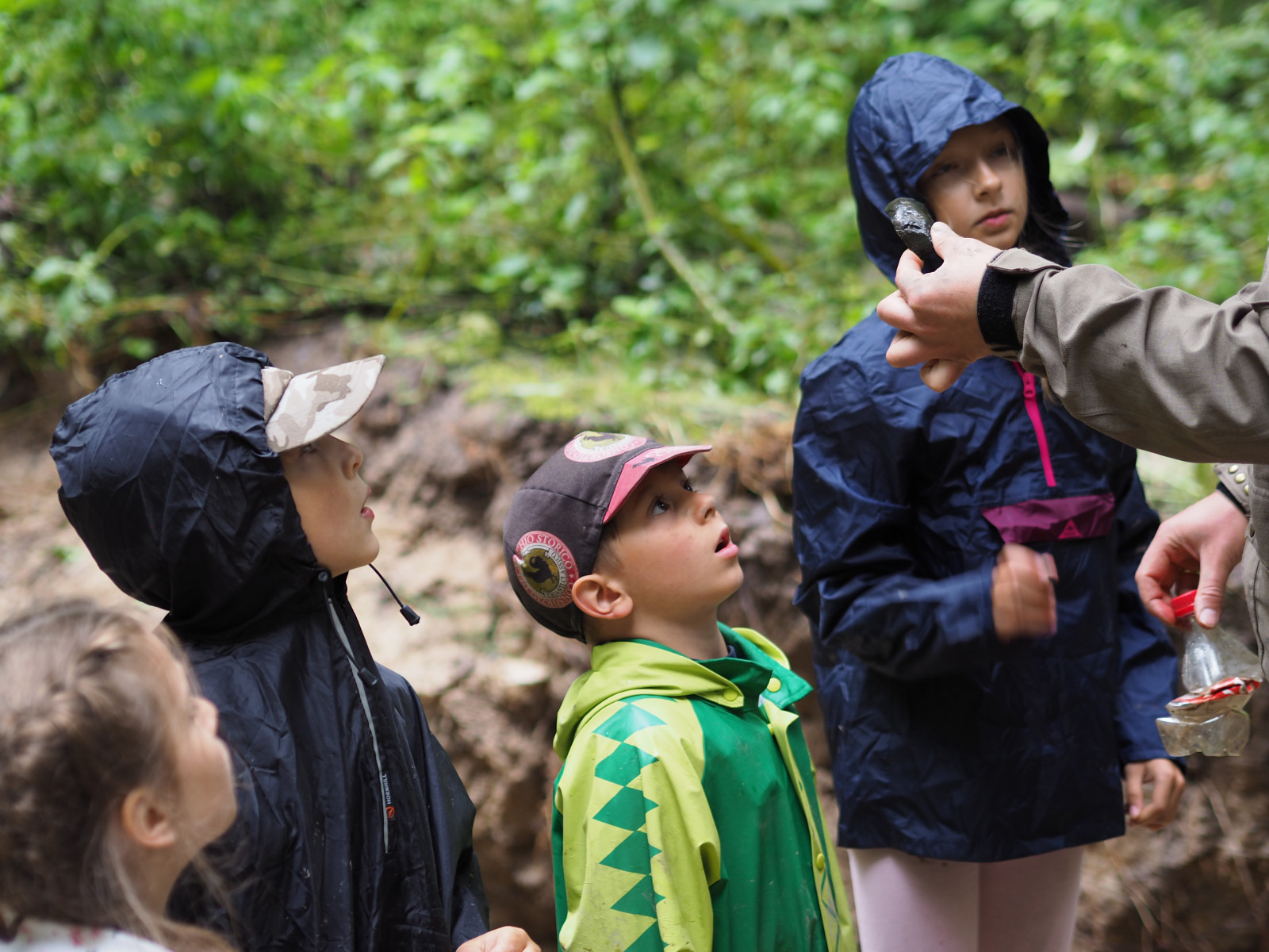 Poszukiwacze leśnych skarbów. Jak zorganizować wyprawę w naturę dla dzieci? 