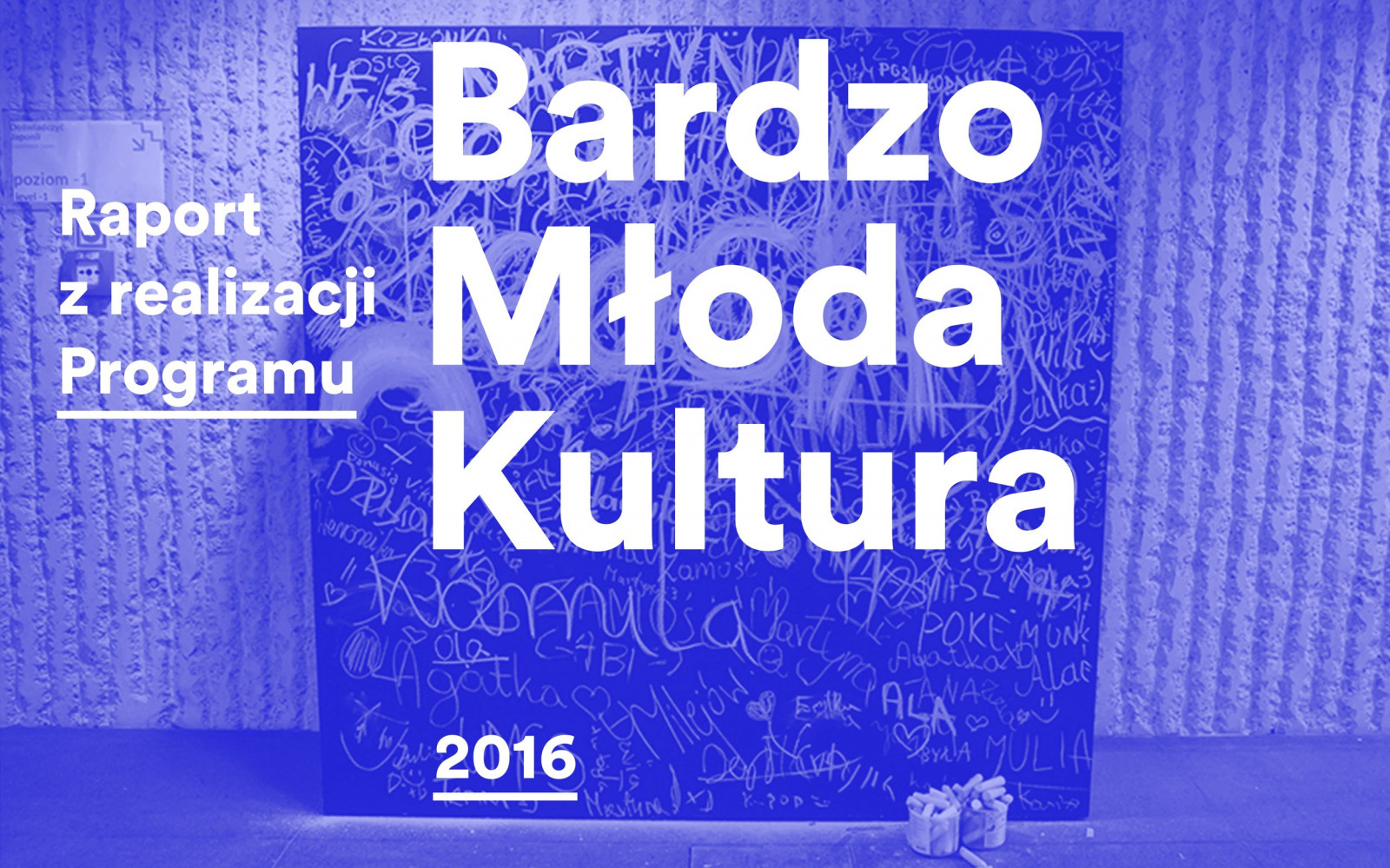 Raport z realizacji programu Bardzo Młoda Kultura w 2016r.